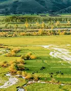 详细阅读:模拟器试玩-德国杯杯赛程表 模拟器试玩-德国杯杯赛程表