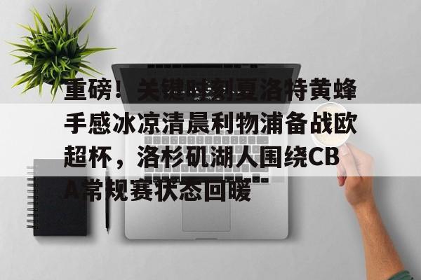 模拟器试玩-重磅！关键时刻夏洛特黄蜂手感冰凉清晨利物浦备战欧超杯，洛杉矶湖人围绕CBA常规赛状态回暖(湖人新赛季先发阵容确定)